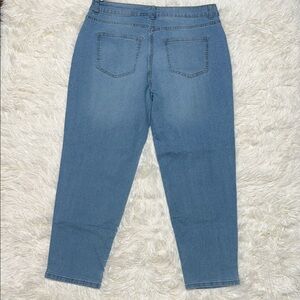 NWT Size 12 Time and Tru Blue Ankle Jeans